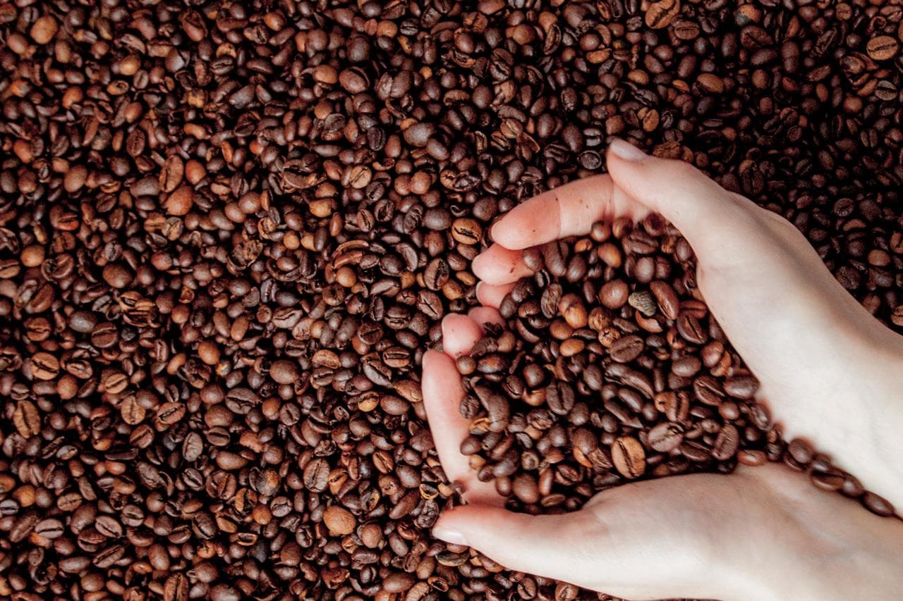 Café en Grano