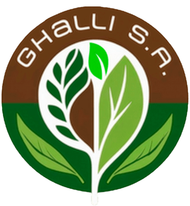 Ghalli S.A.